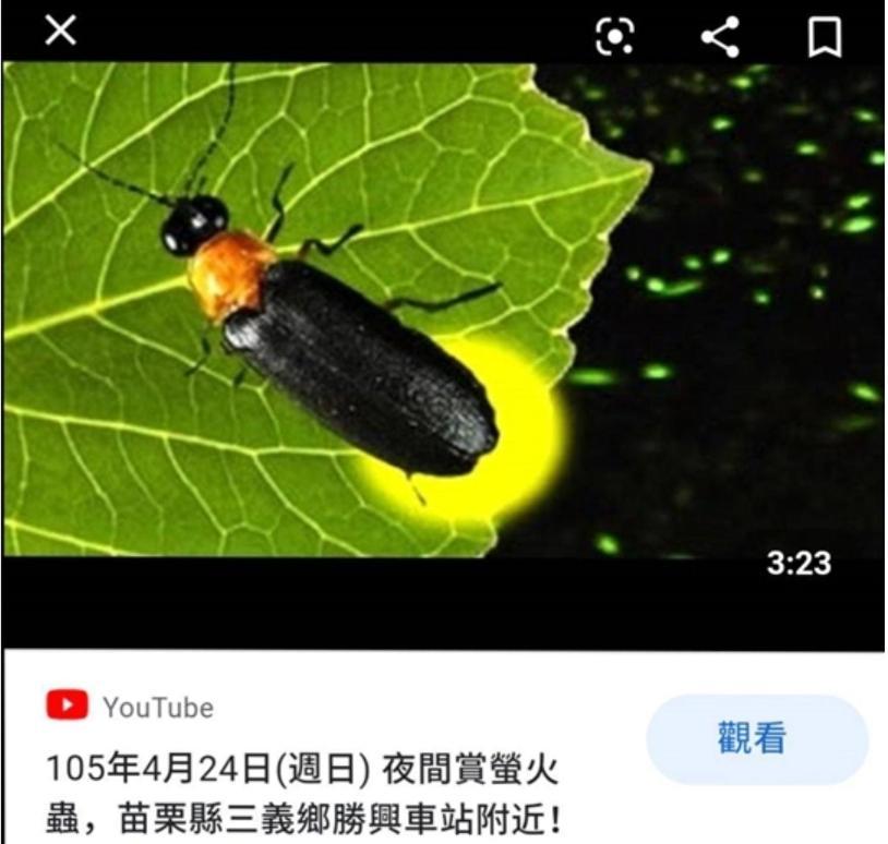Miaoli Sanyi Shantongyazhu Homestay Kültér fotó