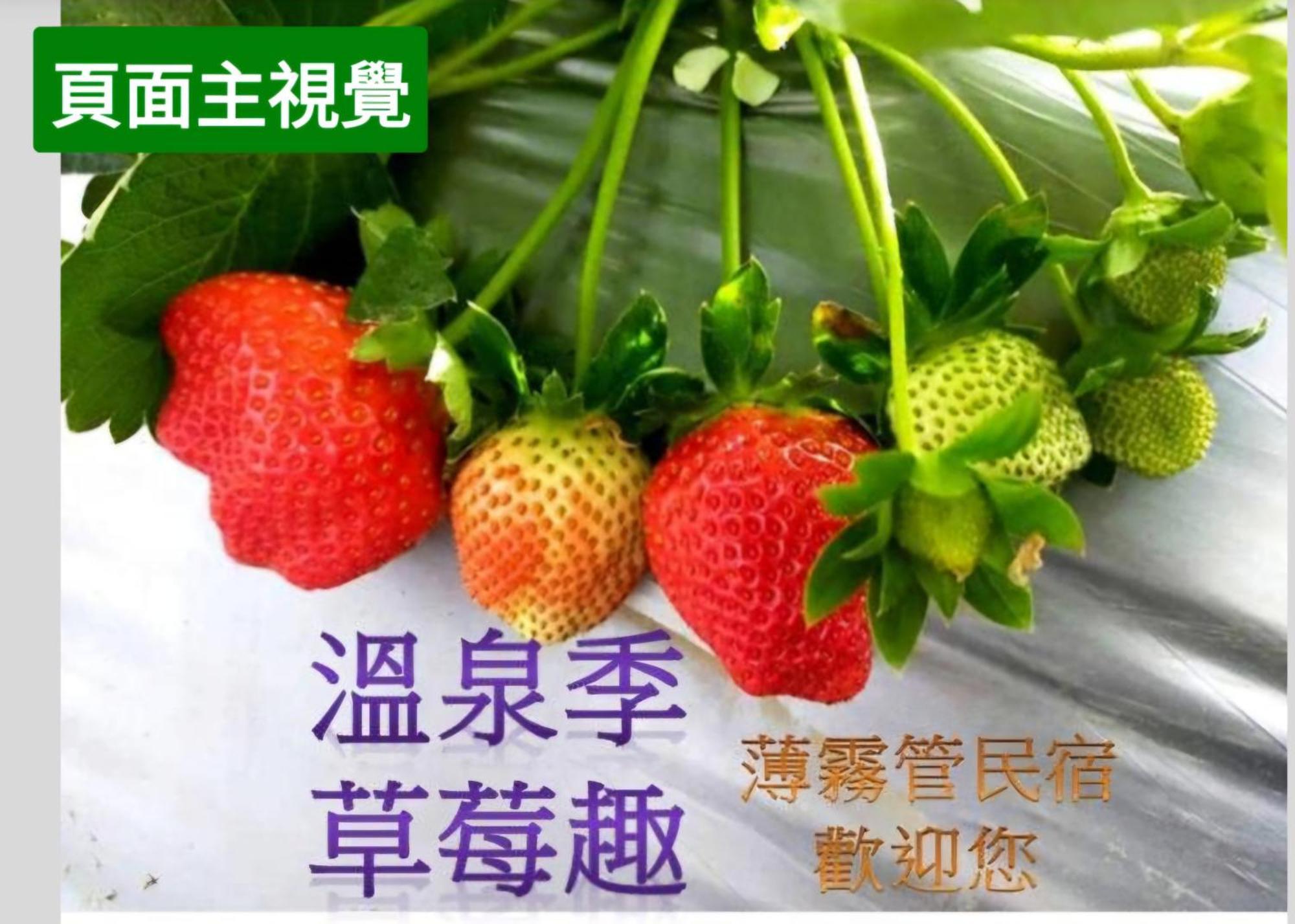 Miaoli Sanyi Shantongyazhu Homestay Kültér fotó